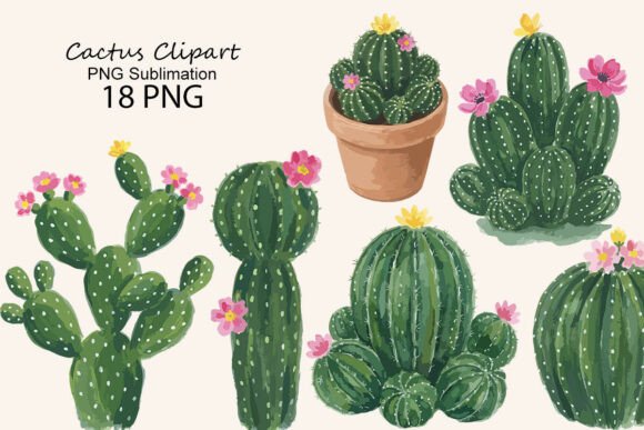 Download Cactus Clipart PNG Sublimation - Cactus Collection